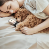 Aparat profesional de tuns animale, Auriu