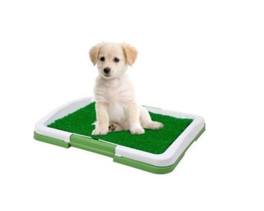 NOU: Toaleta cu iarba artificiala pentru animale, Puppy Potty Pad