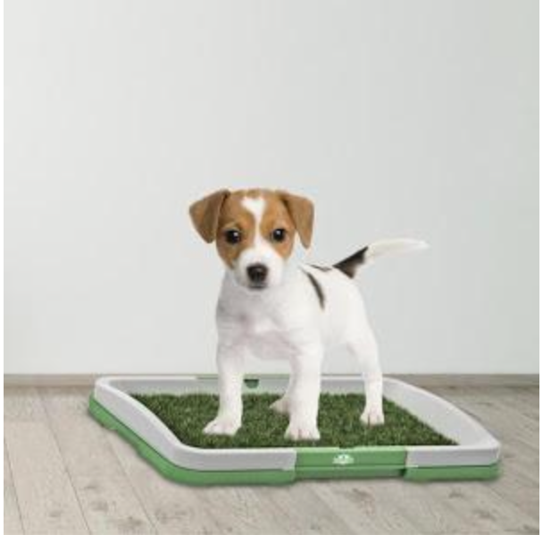 NOU: Toaleta cu iarba artificiala pentru animale, Puppy Potty Pad